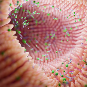 gut and throat health