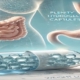 Plenity Hydrogel capsules for weight loss are depicted in this informative illustration, featuring a transparent capsule with hydrogel particles in the foreground and a background diagram showing their expansion in the stomach to promote a feeling of fullness.