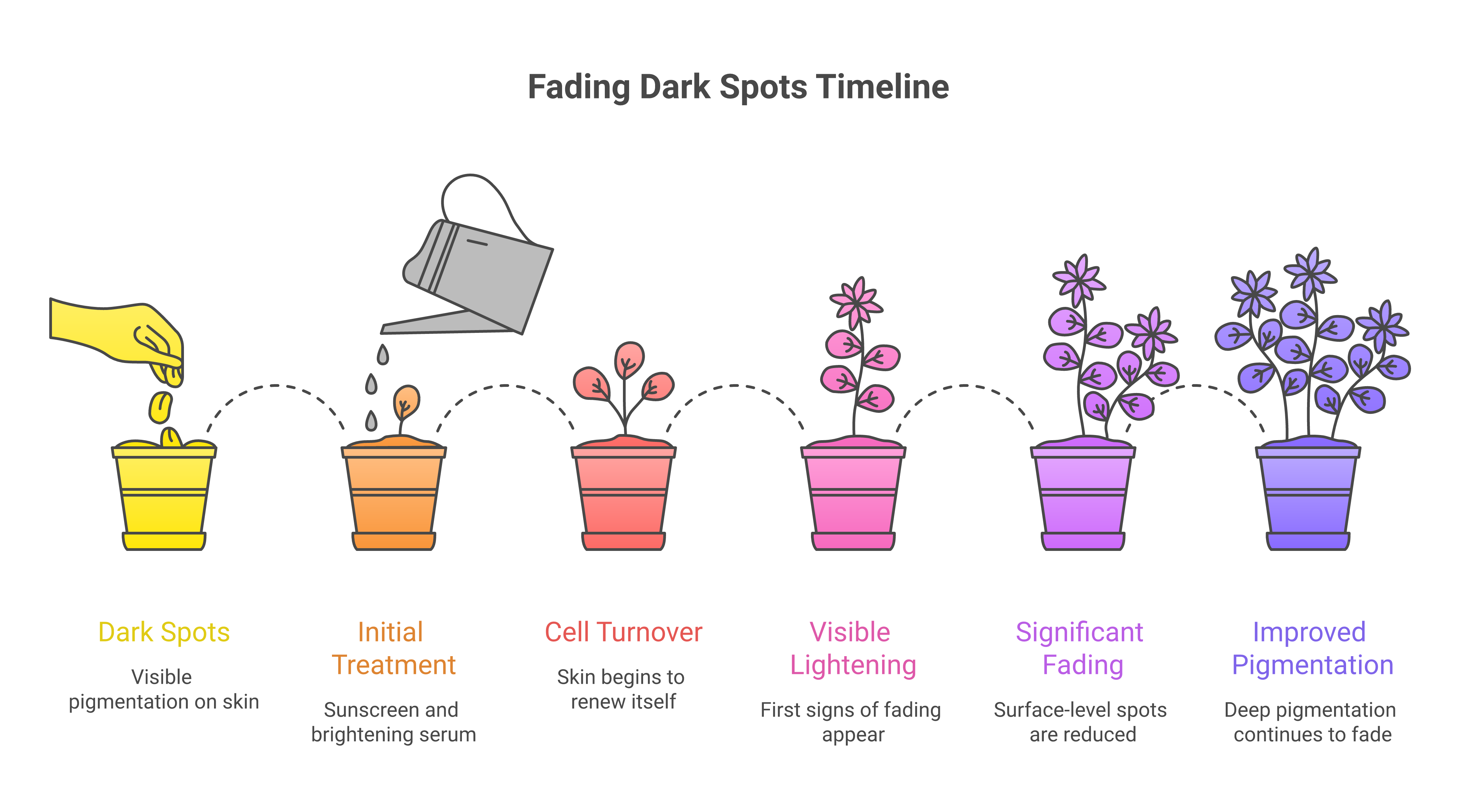 Timeline showing dark spot fading progress from week 1 through month 6 with milestones for cell turnover and visible lightening