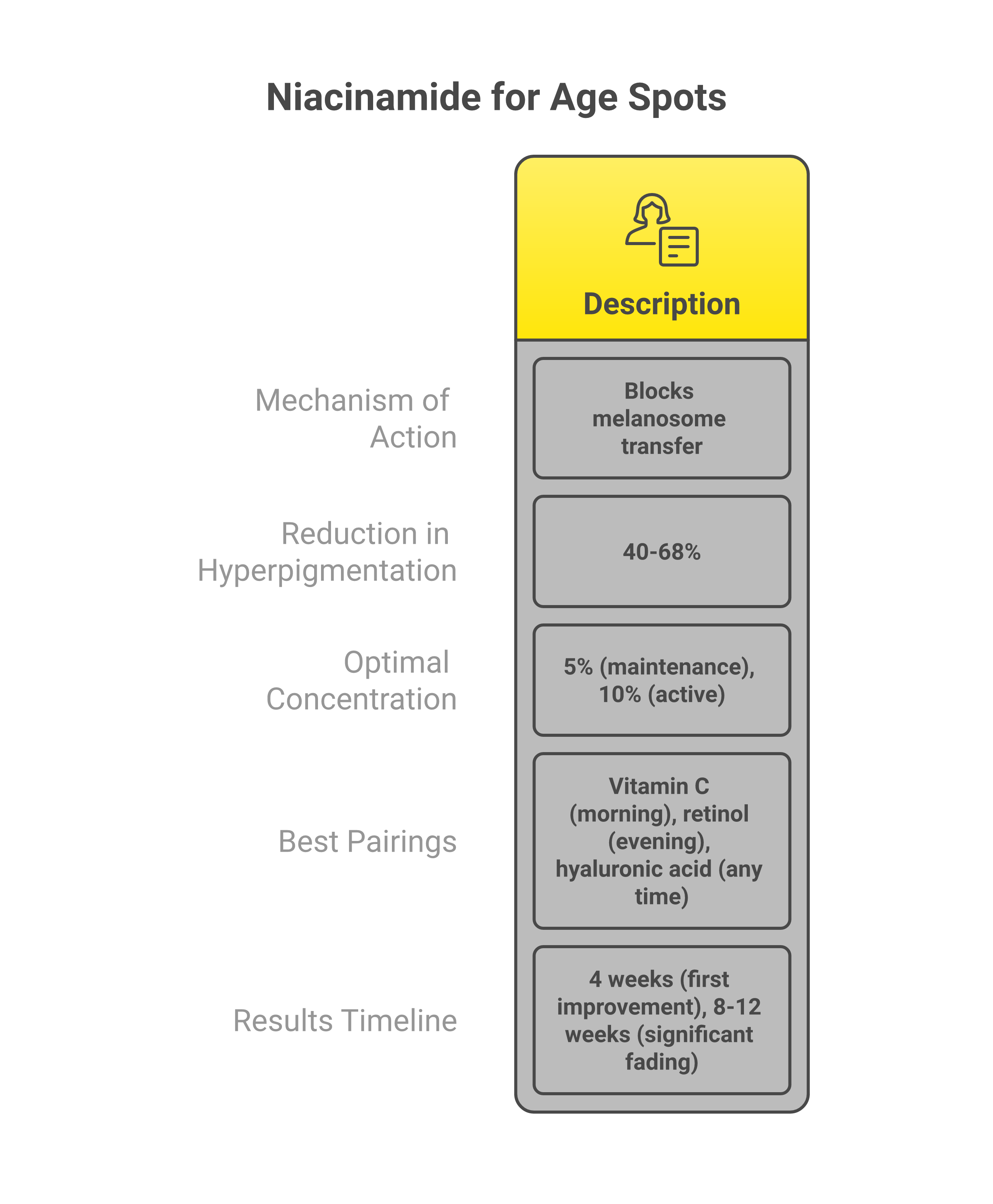Guide showing how niacinamide blocks melanin transfer to fade age spots with 40 to 68 percent improvement, optimal 5 to 10 percent concentration, and results timeline