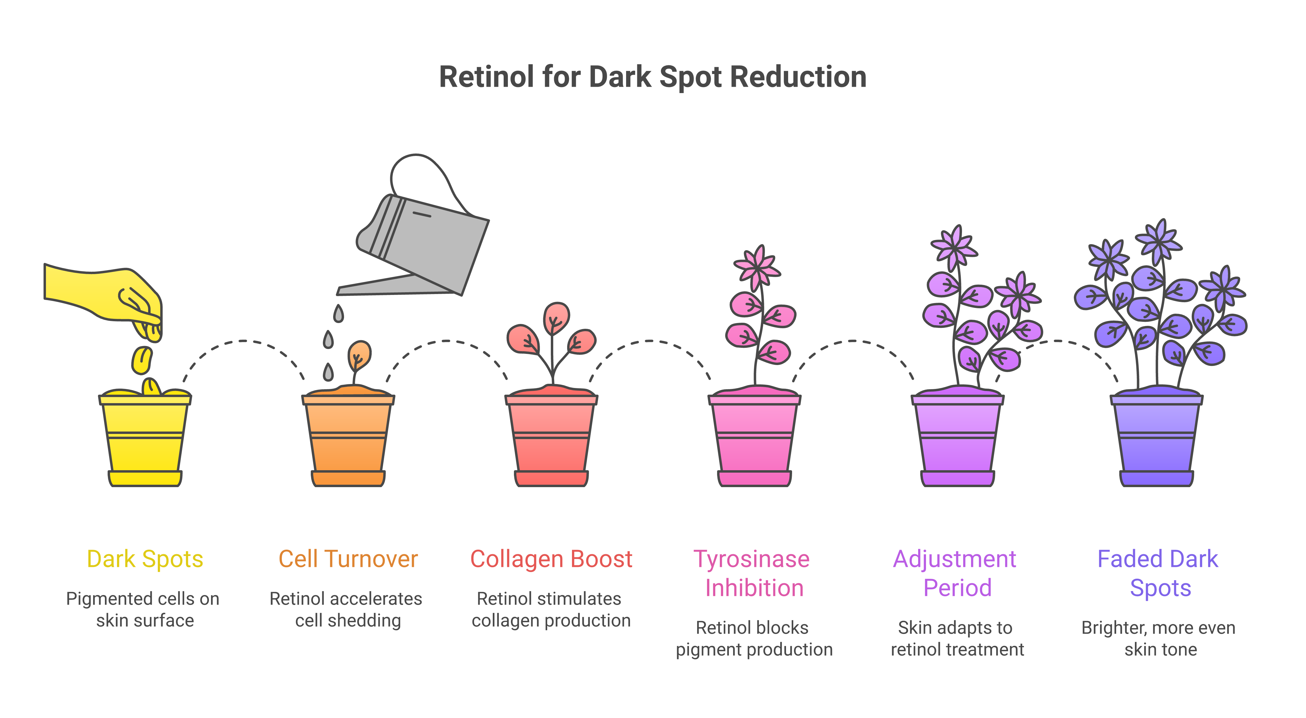 Guide to using retinol for dark spots showing the mechanism of accelerated cell turnover, concentration levels from 0.25 to 1 percent, and 12-week adjustment timeline