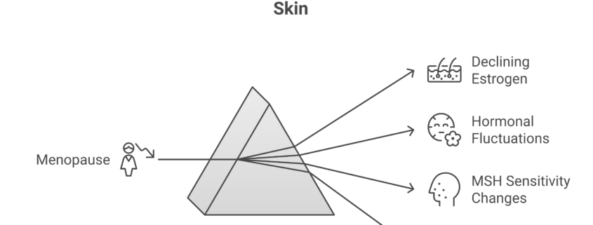 How menopause hormonal changes cause dark spots and the best treatment approaches