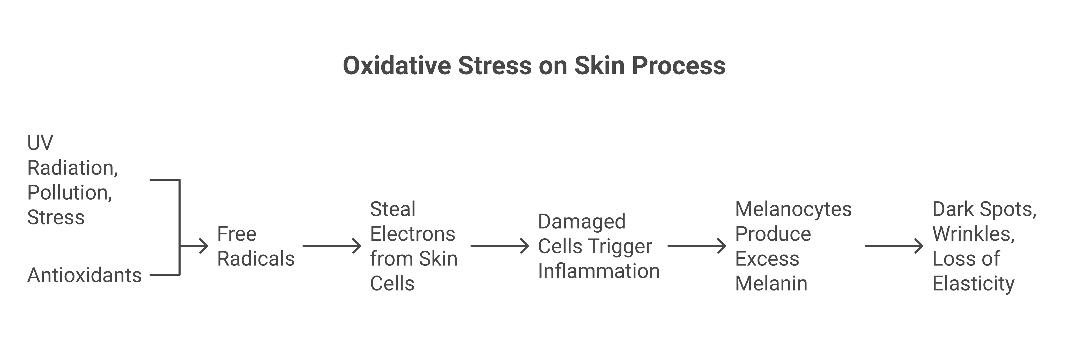 Oxidative Stress on Skin: Causes, Visible Signs, and How to Fight Back Flowchart showing the five-step process of how oxidative stress causes dark spots and skin aging, from UV exposure through free radical damage to melanin overproduction